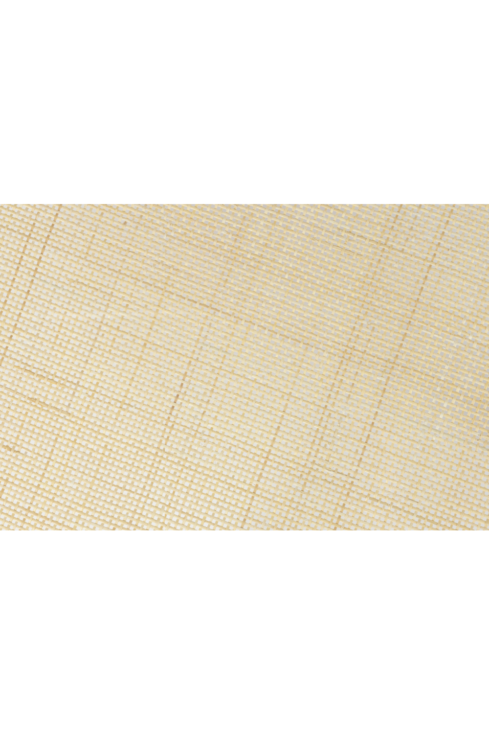 Natural Rattan Modern Coffee Table | DF Haru | OROA.com