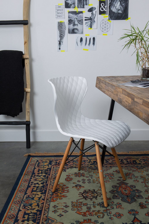 Persian Style Viscose Carpet 5' x 7'5" | DF Raz | Oroa.com