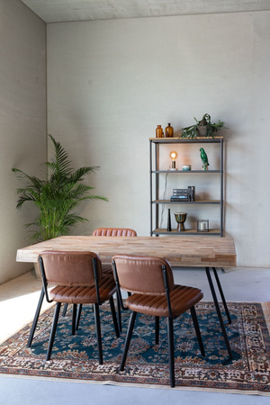 Persian Style Viscose Carpet 5' x 7'5" | DF Raz | Oroa.com