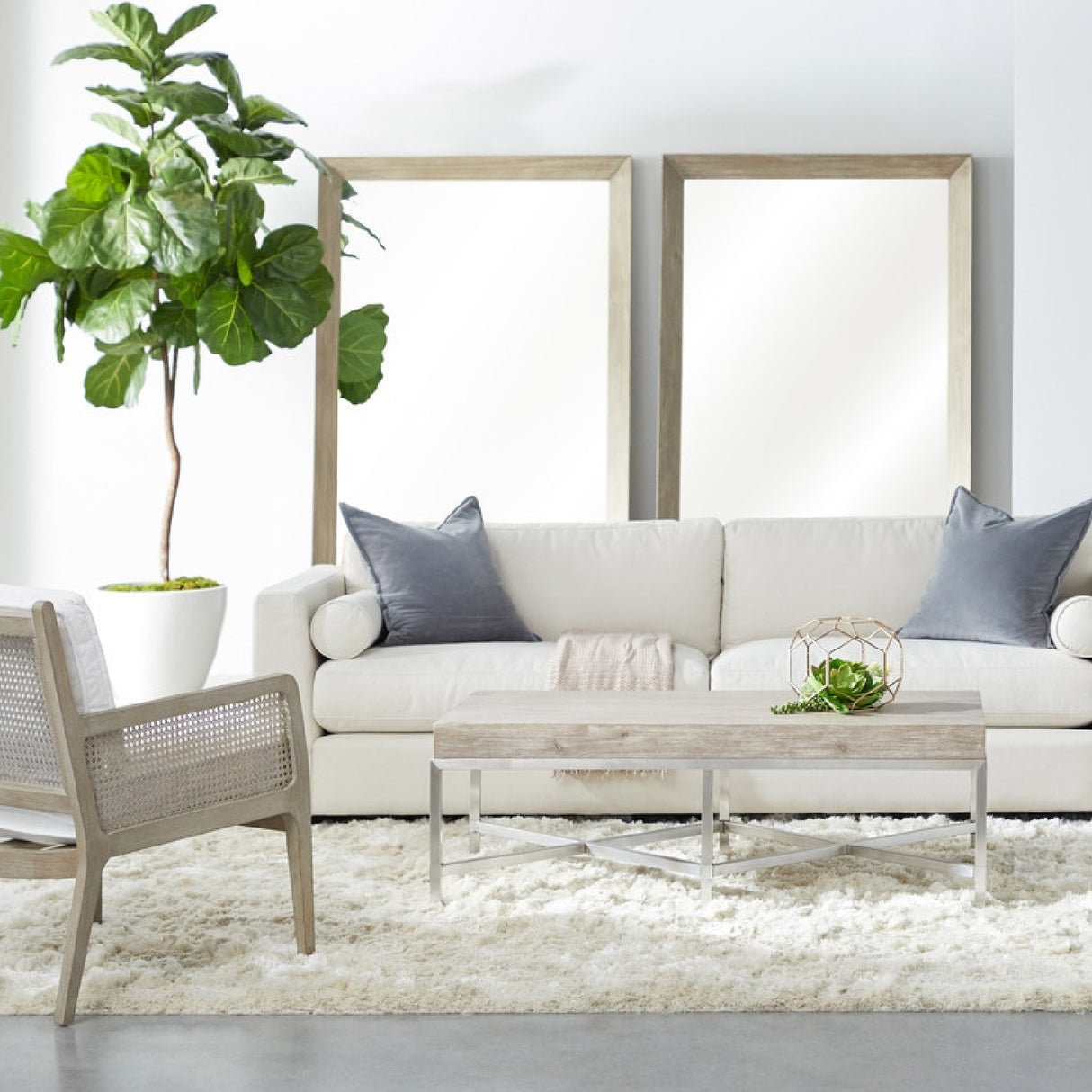   Gray Acacia Mirror | Oroa.com