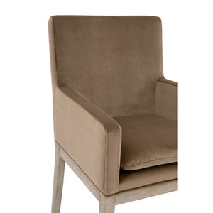   Brown Velvet Dining Armchair | Oroa.com