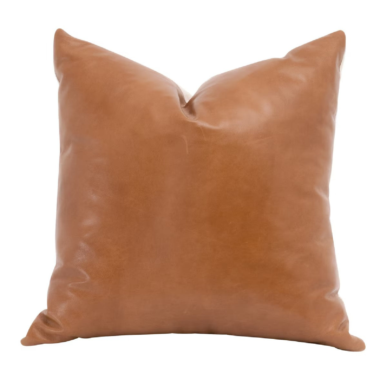   Brown Leather Pillows (2) | Oroa.com