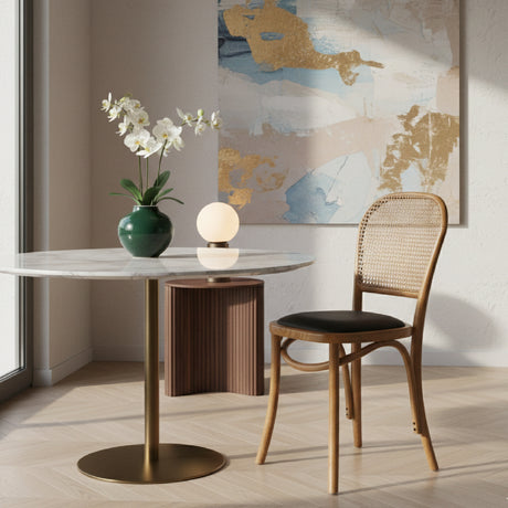 Modern European furniture - Elm-Framed Rattan Dining Chairs (2) - www.oroa.com
