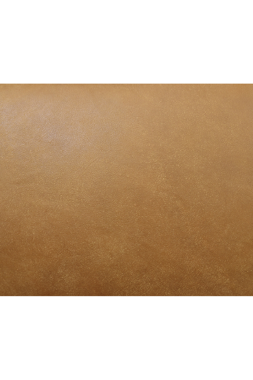 Walnut Framed Leather Accent Chair | Novi Living Arturo | Oroa.com