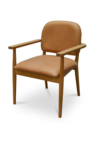 Modern European furniture - Wooden Padded Dining Chairs - www.oroa.com