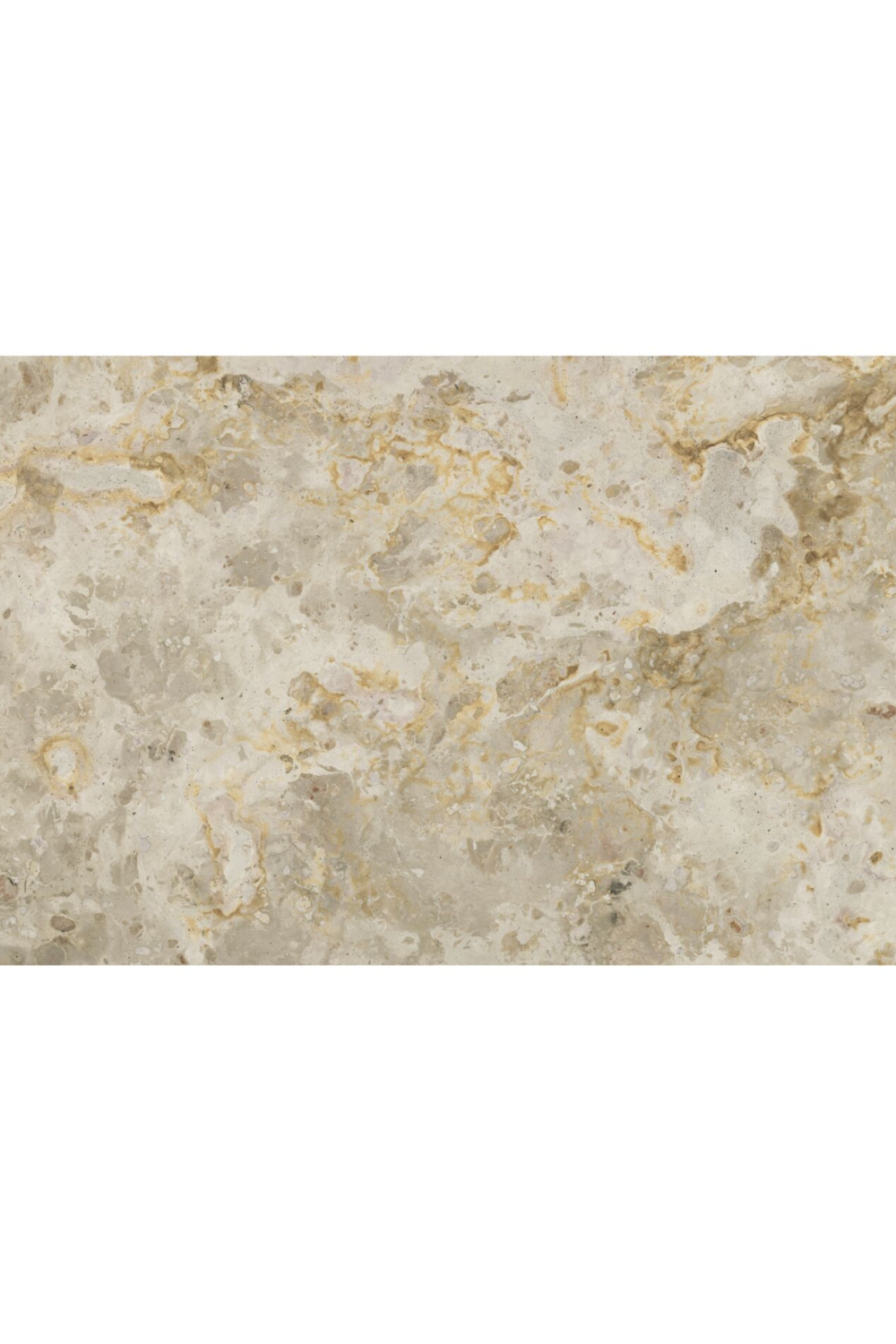 Wood Base Marble Coffee Table | Novi Living Carly | Oroa.com