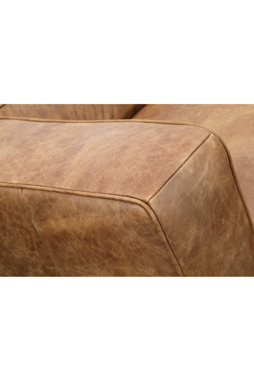 Modern European furniture - Brown Leather Sofa - www.oroa.com