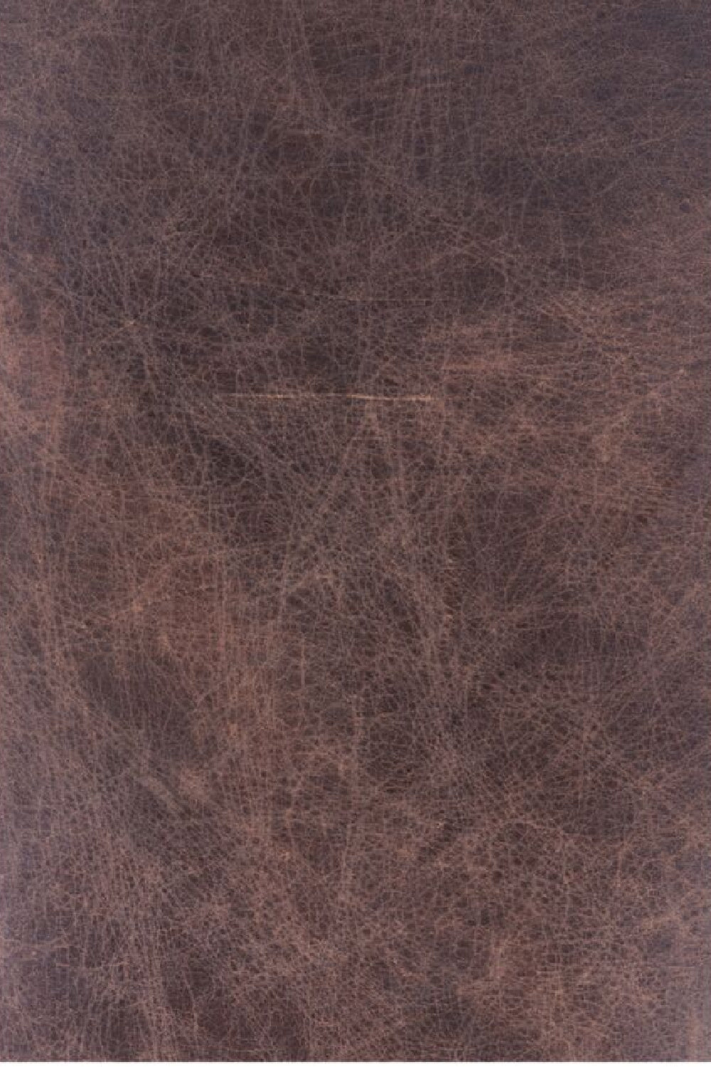 Modern European furniture - Brown Leather Club Chair - www.oroa.com