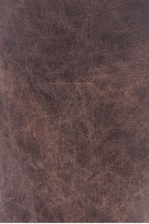 Modern European furniture - Brown Leather Club Chair - www.oroa.com