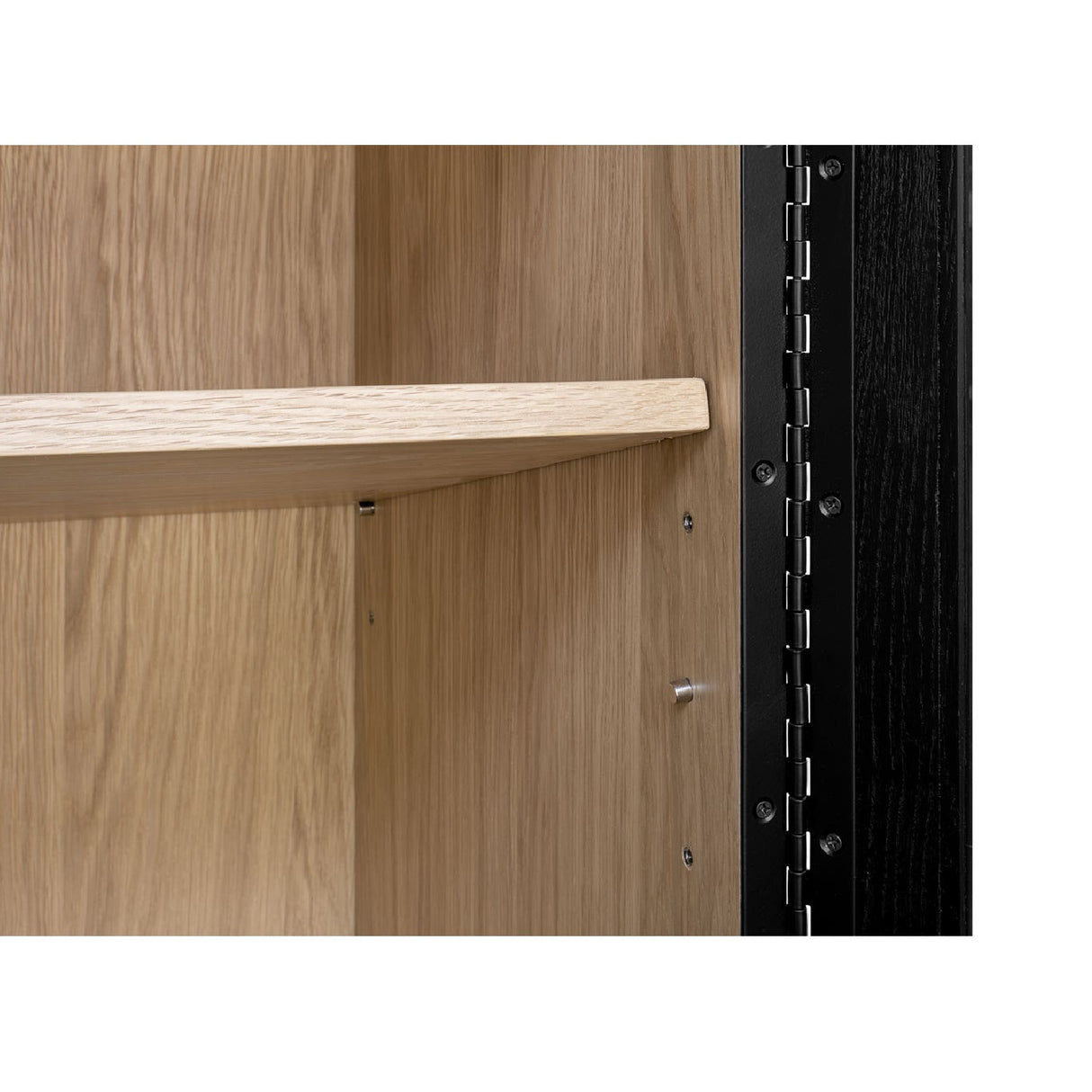 Modern European furniture - Black Solid Ash Tall Cabinet - www.oroa.com