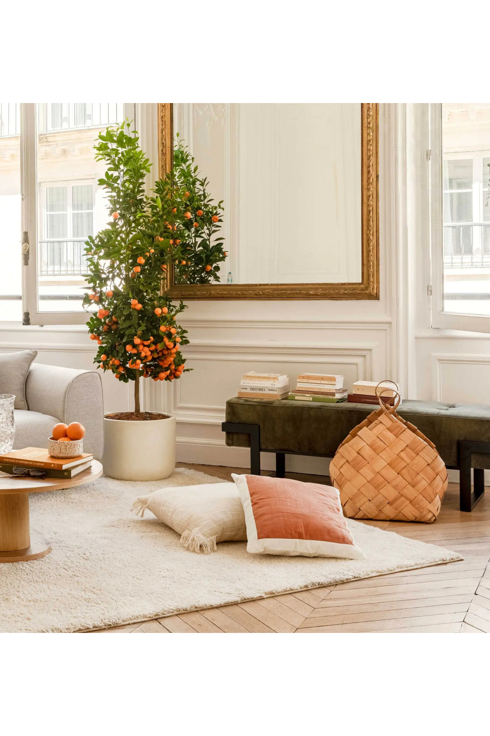 Metal Framed Padded Bench | NV Gallery Vertigo | Oroa.com