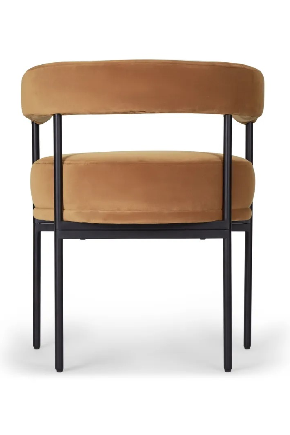 Curved Back  Dining Chair | NV Gallery Arcade | Oroa.com