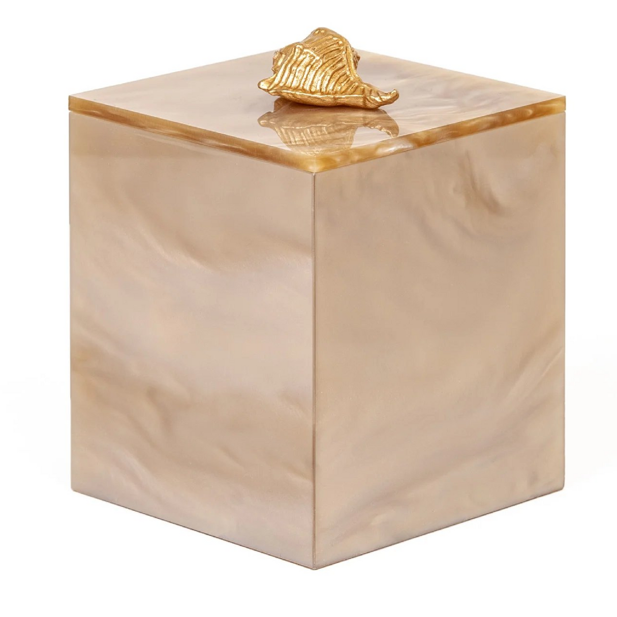 Shell Handle Cotton Pad Holder | Pinetti Bea | OROA.com