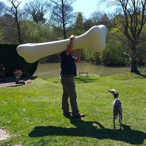 Bone Decorative Object | Qeeboo Bonos | OROA.com