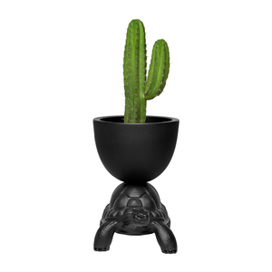 Modern Decorative Planter | Qeeboo Turtle Carry | OROA.com