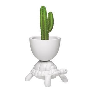 Modern Decorative Planter | Qeeboo Turtle Carry | OROA.com