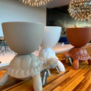 Modern Decorative Planter | Qeeboo Turtle Carry | OROA.com