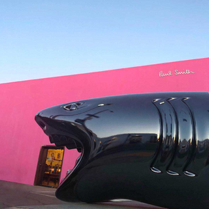 Shark-Shaped Multipurpose Holder | Qeeboo Killer | OROA.com