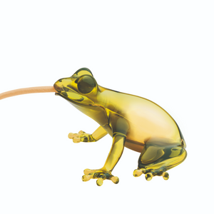 Sculptured Table/Wall Lamp | Qeeboo Hungry Frog | OROA.com