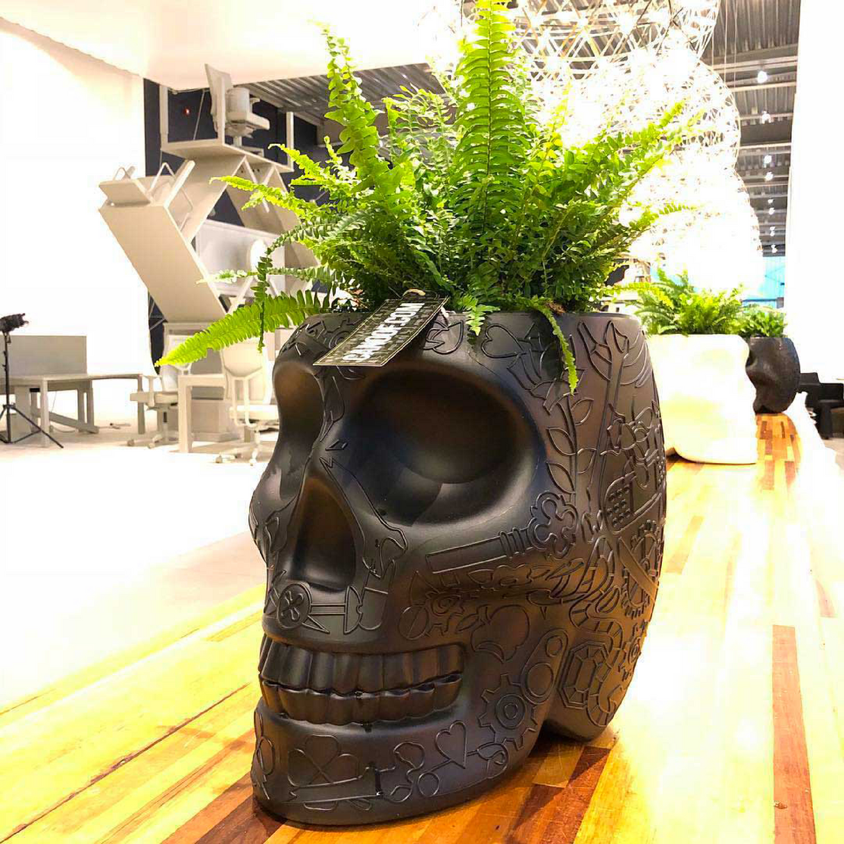Skull-Shaped Planter Champagne Cooler | Qeeboo Mexico | OROA.com