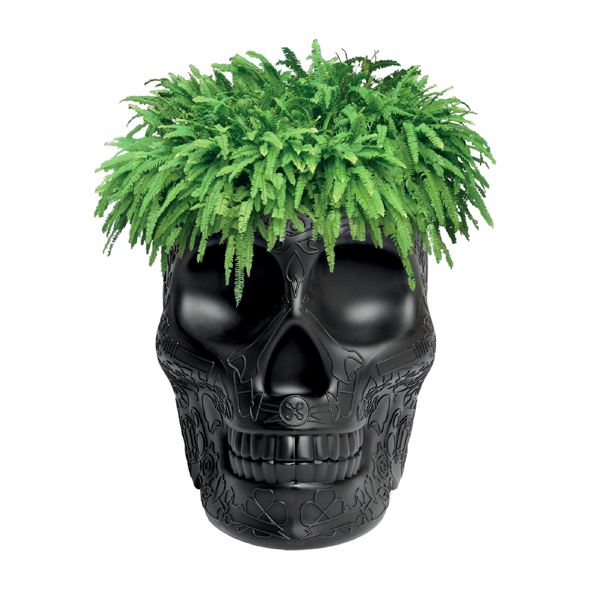 Skull-Shaped Planter Champagne Cooler | Qeeboo Mexico | OROA.com