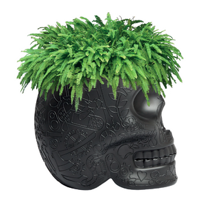 Skull-Shaped Planter Champagne Cooler | Qeeboo Mexico | OROA.com
