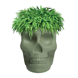 Skull-Shaped Planter Champagne Cooler | Qeeboo Mexico | OROA.com