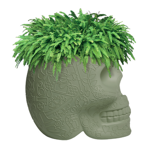 Skull-Shaped Planter Champagne Cooler | Qeeboo Mexico | OROA.com