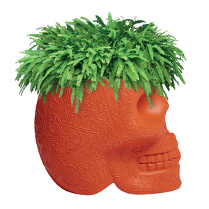 Skull-Shaped Planter Champagne Cooler | Qeeboo Mexico | OROA.com