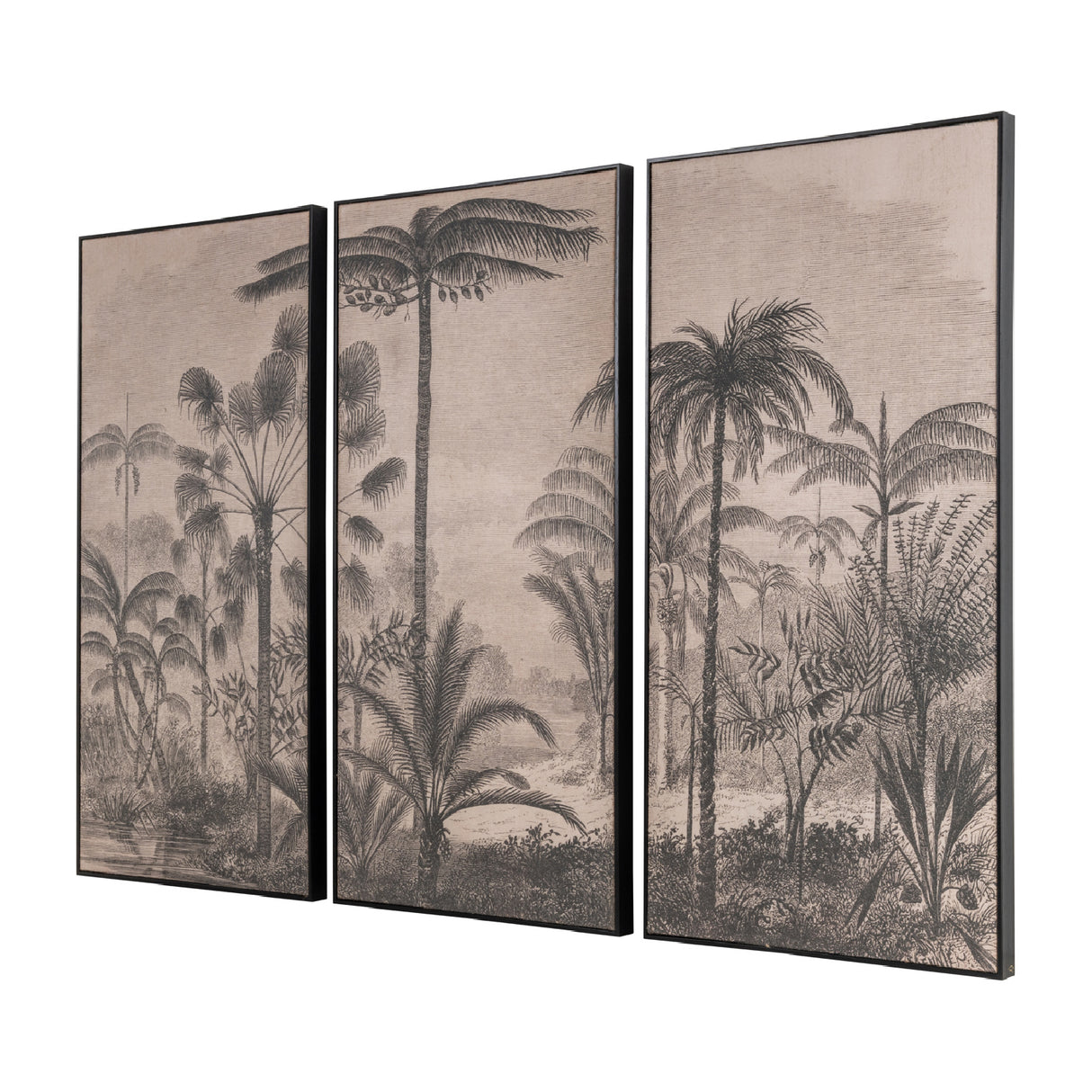   Palm Trees Wall Art Set (3) | Oroa.com