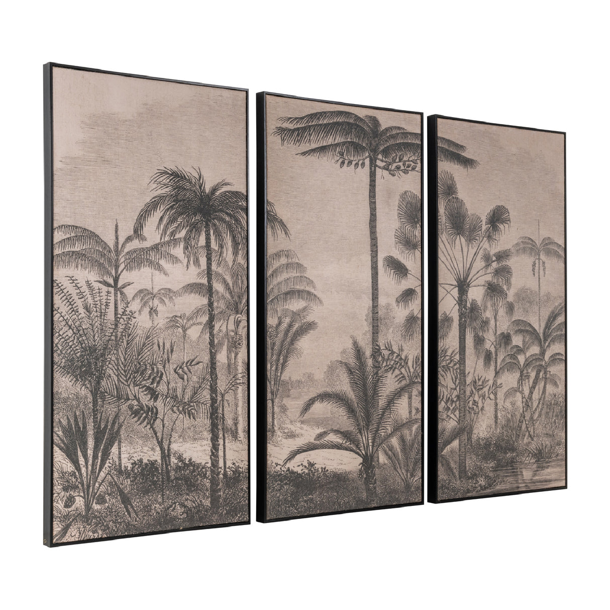   Palm Trees Wall Art Set (3) | Oroa.com