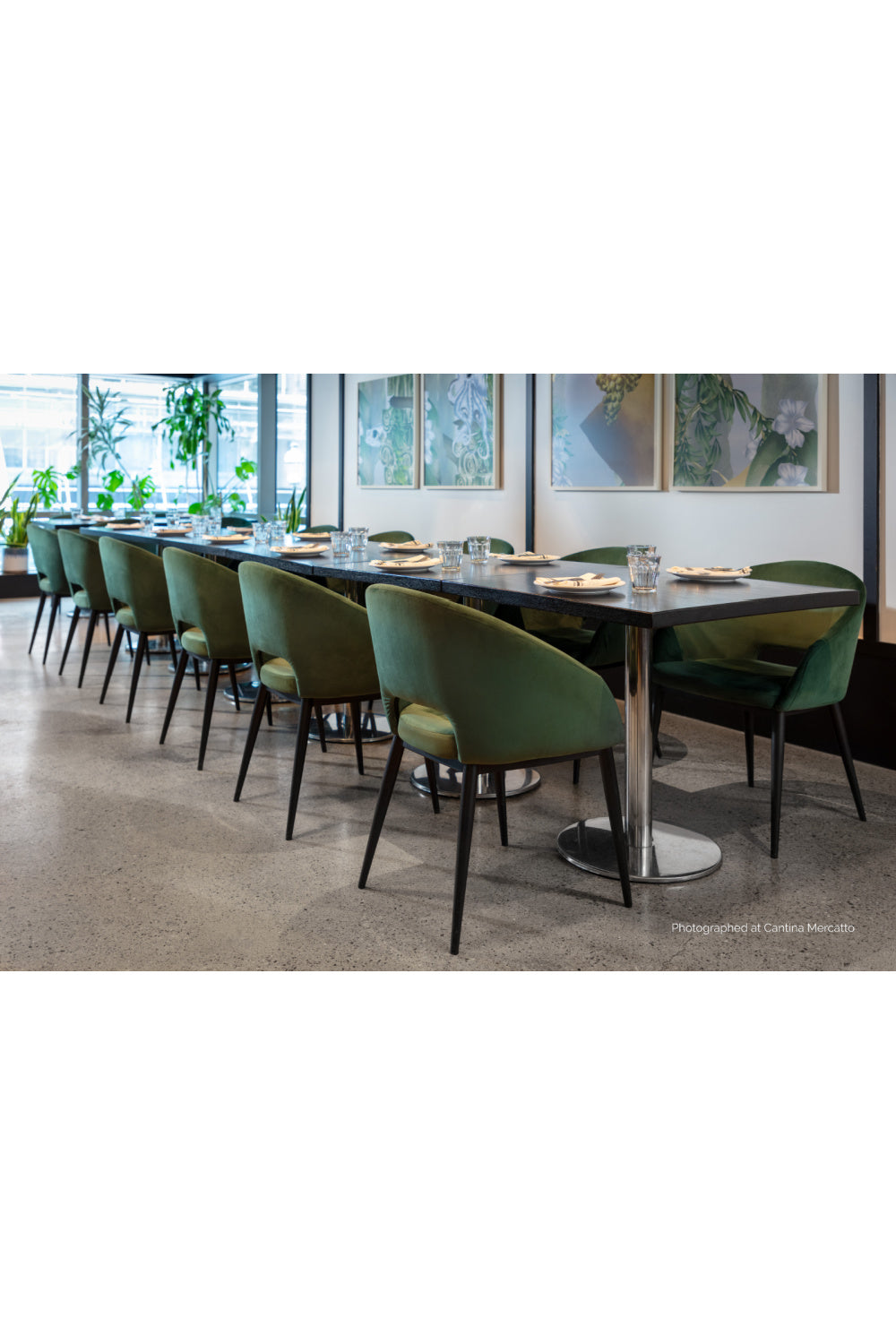 Modern European furniture - Cutout-Back Dining Amchair - www.oroa.com