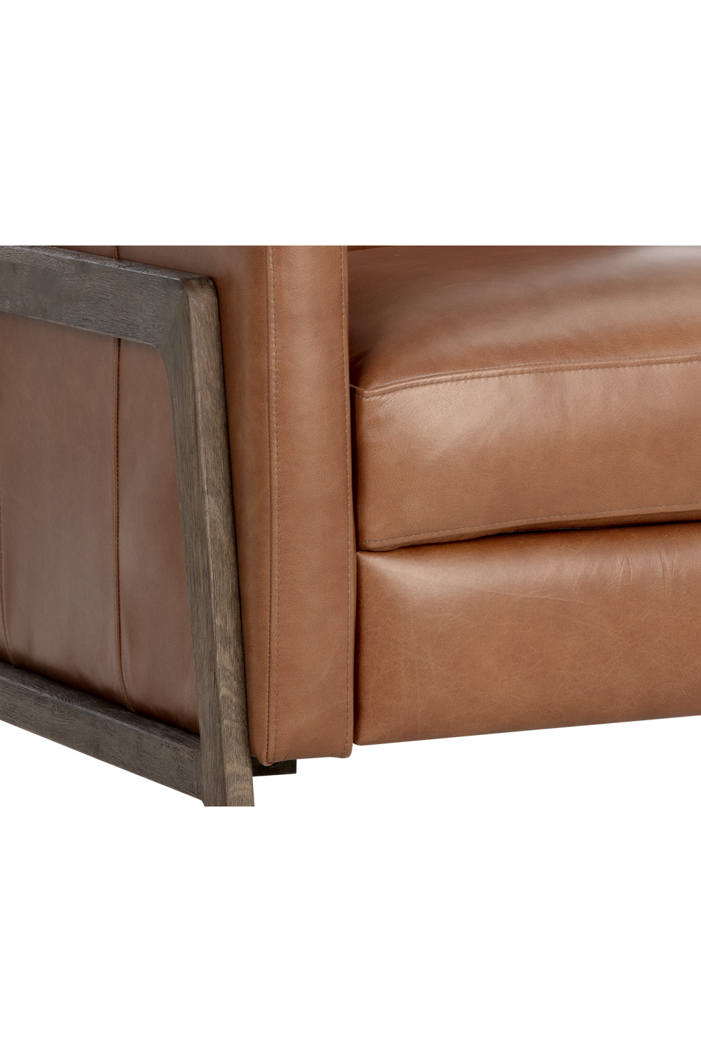 Modern European furniture - Brown Leather Recliner Chair - www.oroa.com
