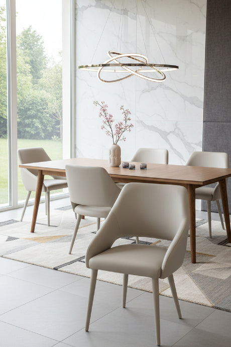 Modern European furniture - Monochromatic Leather Dining Chair - www.oroa.com