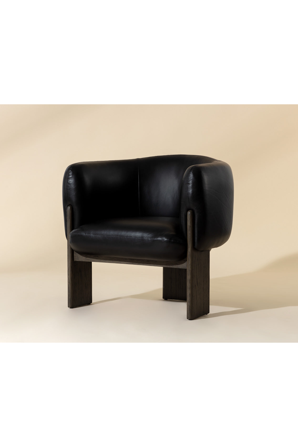 Modern European furniture - Black Leather Curved Lounge Chair - www.oroa.com