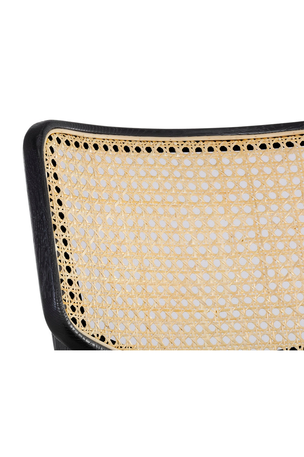   Modern European furniture - Black Cushioned Seat Dining Chairs (2) - www.oroa.com | Oroa.com