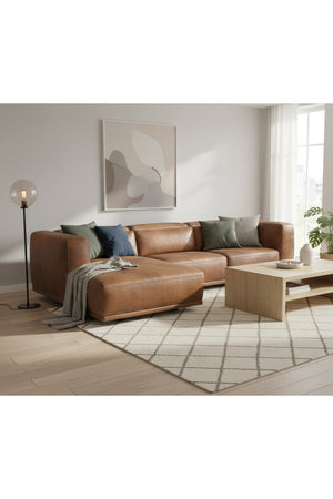 Modern European furniture - Brown Leather Chaise Sofa - www.oroa.com