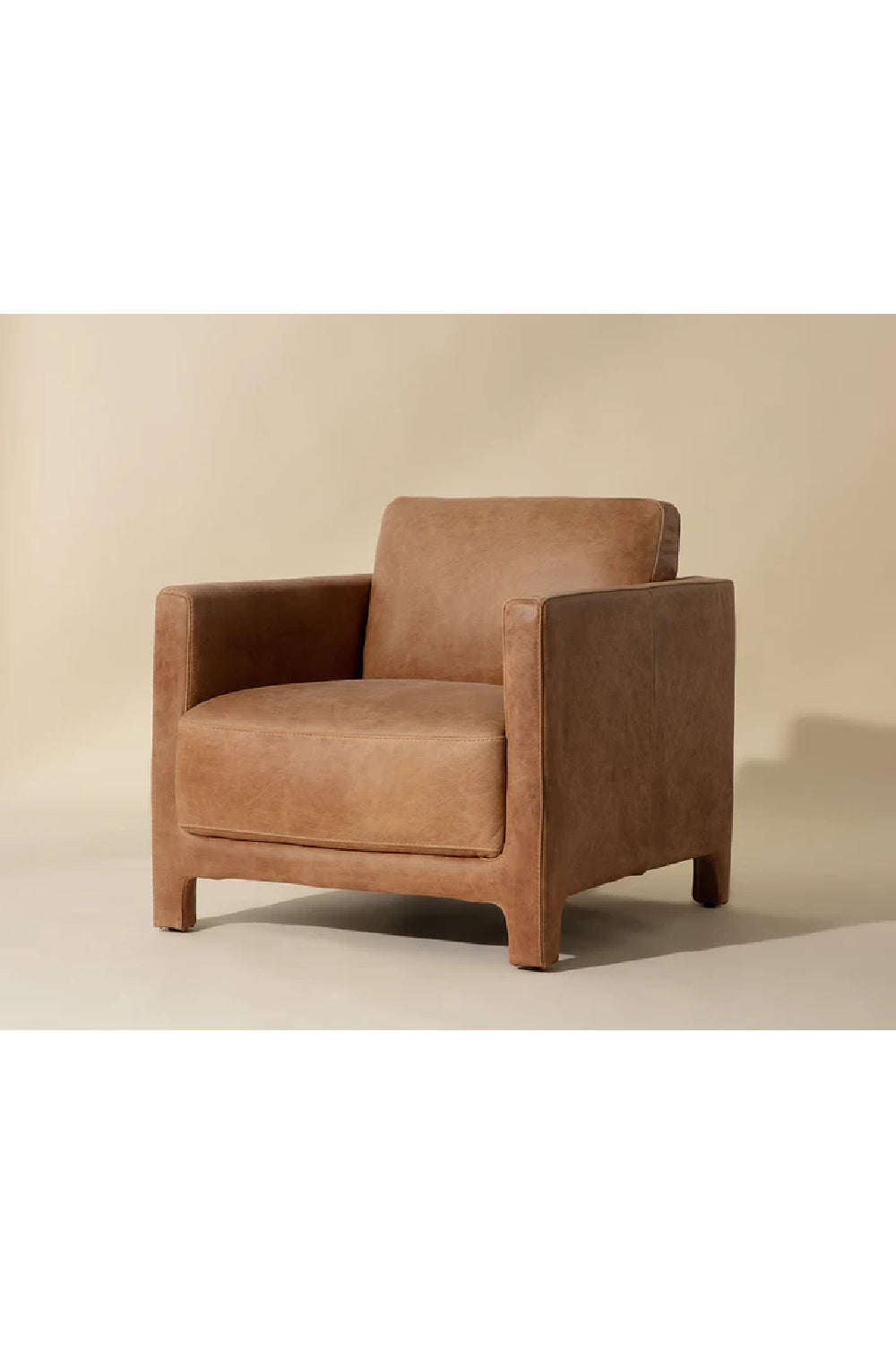Modern European furniture - Bovine Leather Lounge Chair - www.oroa.com