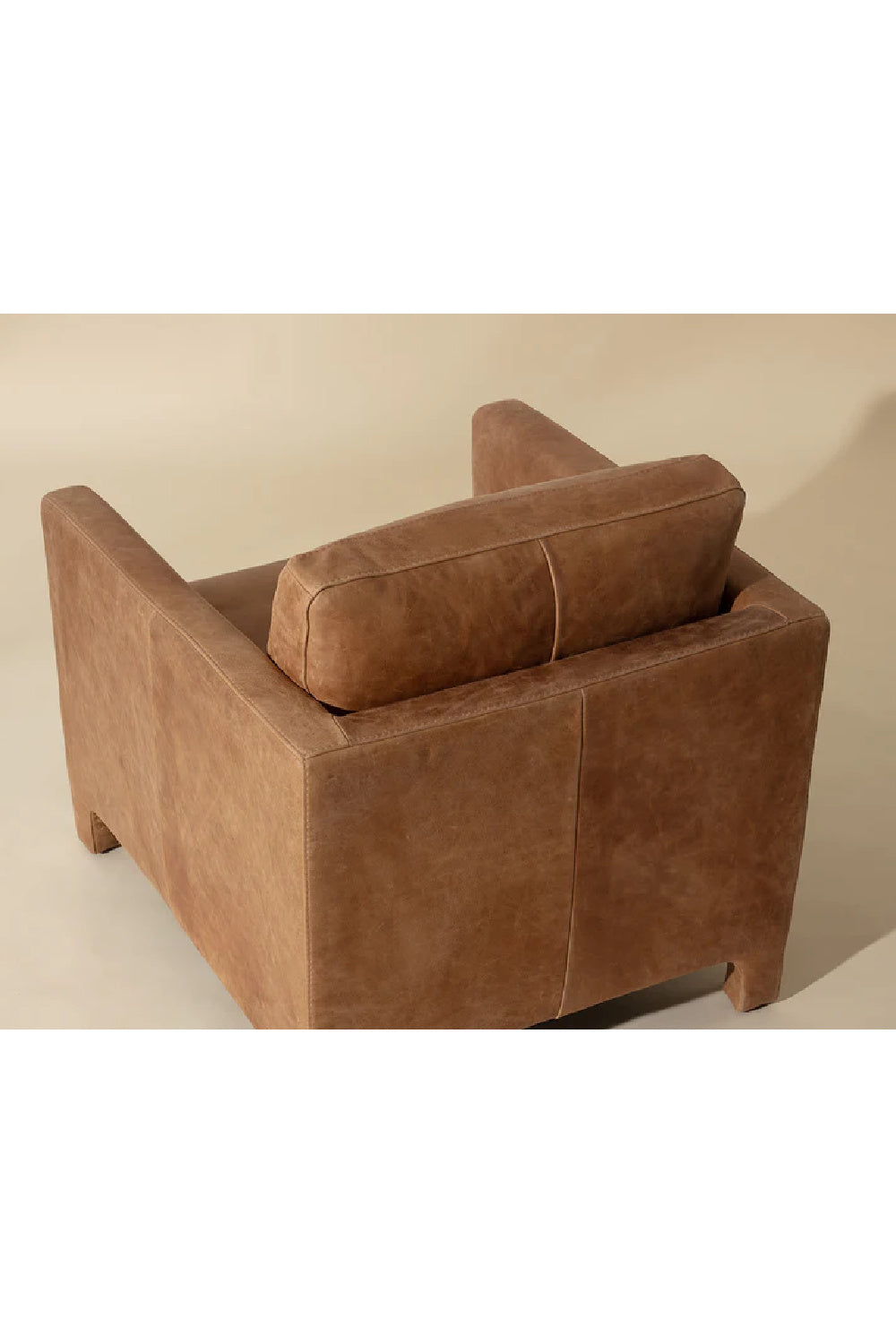 Modern European furniture - Bovine Leather Lounge Chair - www.oroa.com