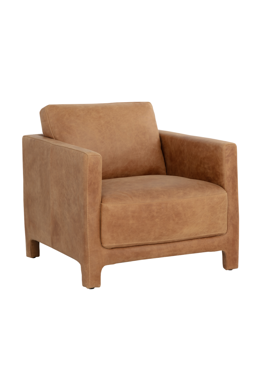 Modern European furniture - Bovine Leather Lounge Chair - www.oroa.com