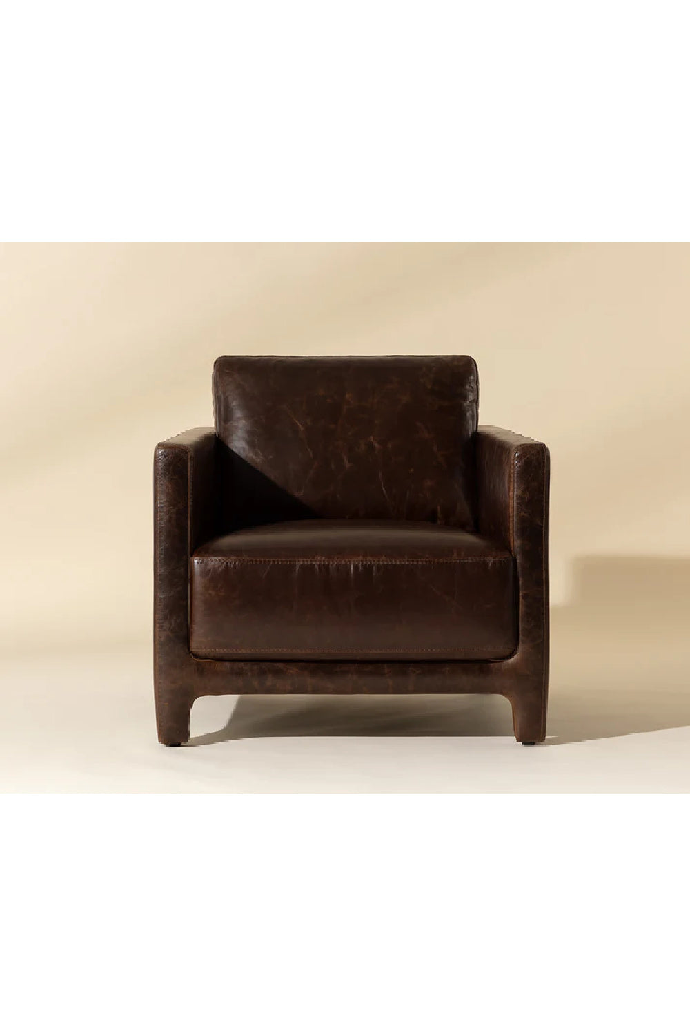 Modern European furniture - Bovine Leather Lounge Chair - www.oroa.com