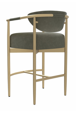 Modern European furniture - Gold Framed Leather-Look Bar Stool - www.oroa.com