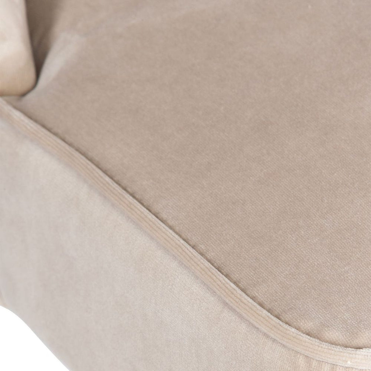   Welted Trim Modern Dining Chairs (2) | Oroa.com