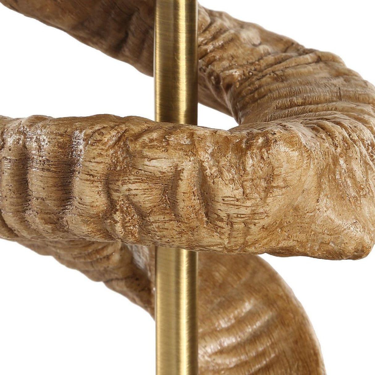   Horn-Inspired Base Table Lamp | Oroa.com