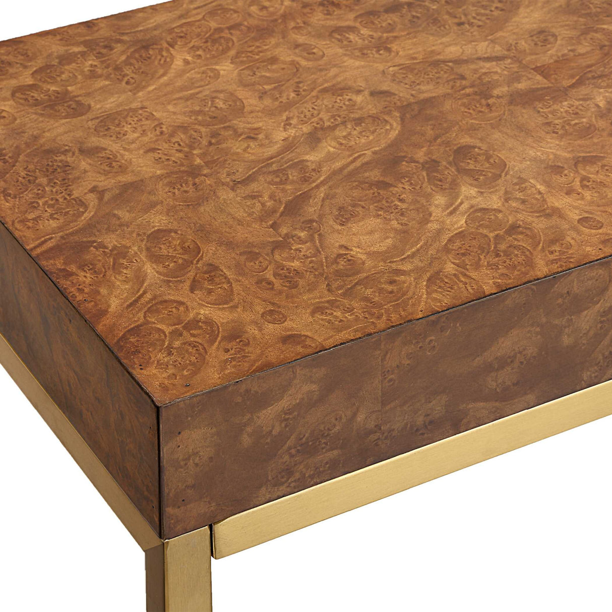   Burl Veneer Console Table | Oroa.com