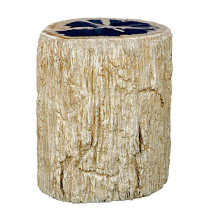   Petrified Wood Indoor/Outdoor Accent Table | Oroa.com