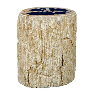   Petrified Wood Indoor/Outdoor Accent Table | Oroa.com