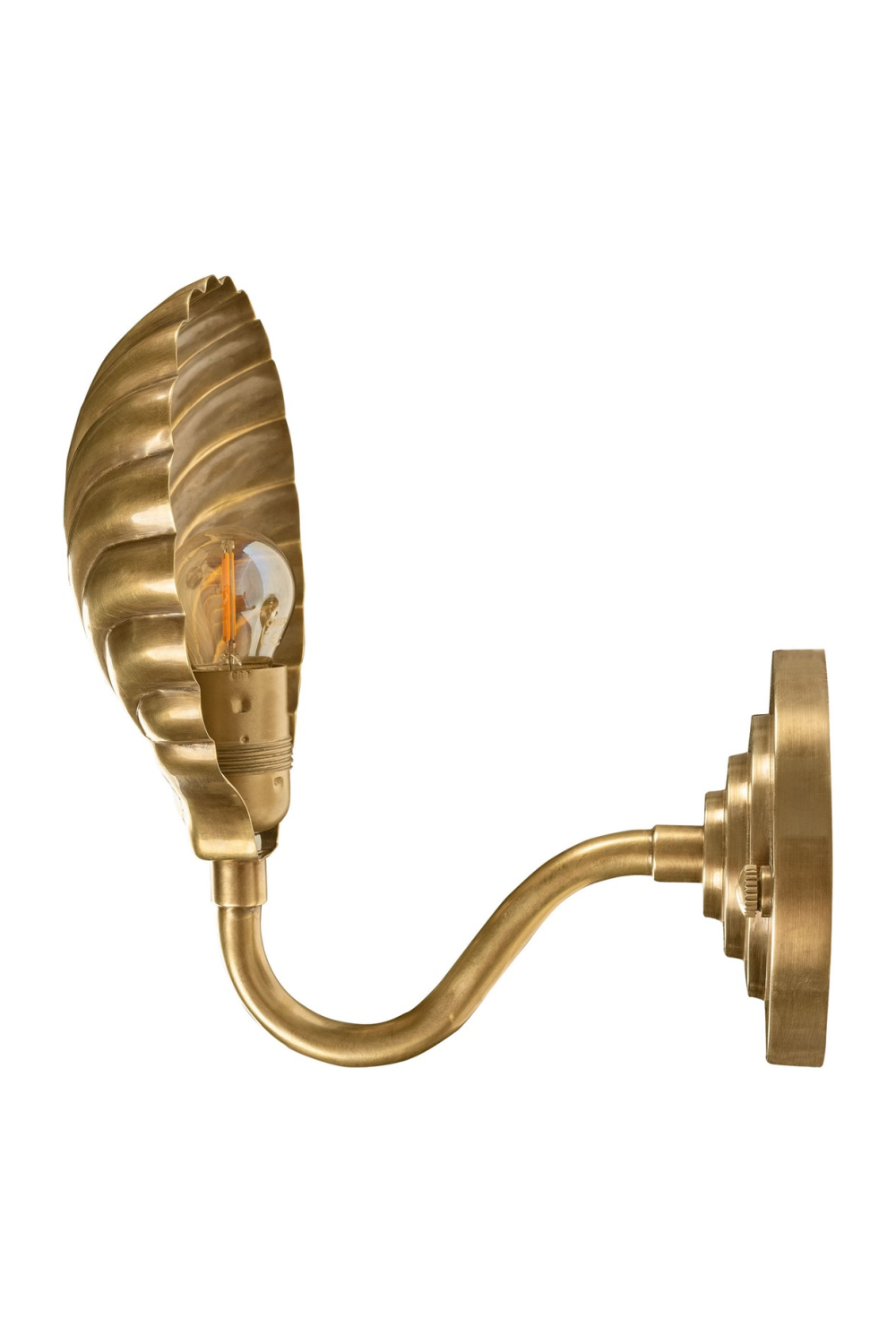 Gold Scalloped Wall Lamp | Versmissen Bonaire | Oroa.com