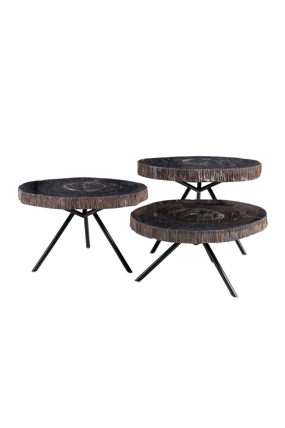 Petrified Wood Coffee Table Set (3) | Versmissen | Oroa.com