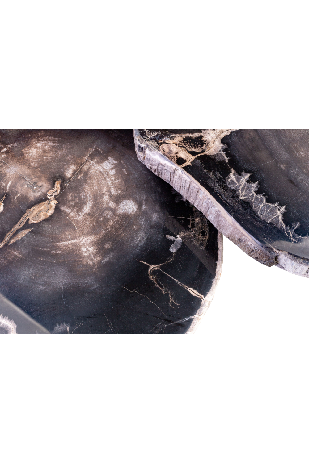 Petrified Wood Coffee Table Set (3) | Versmissen | Oroa.com